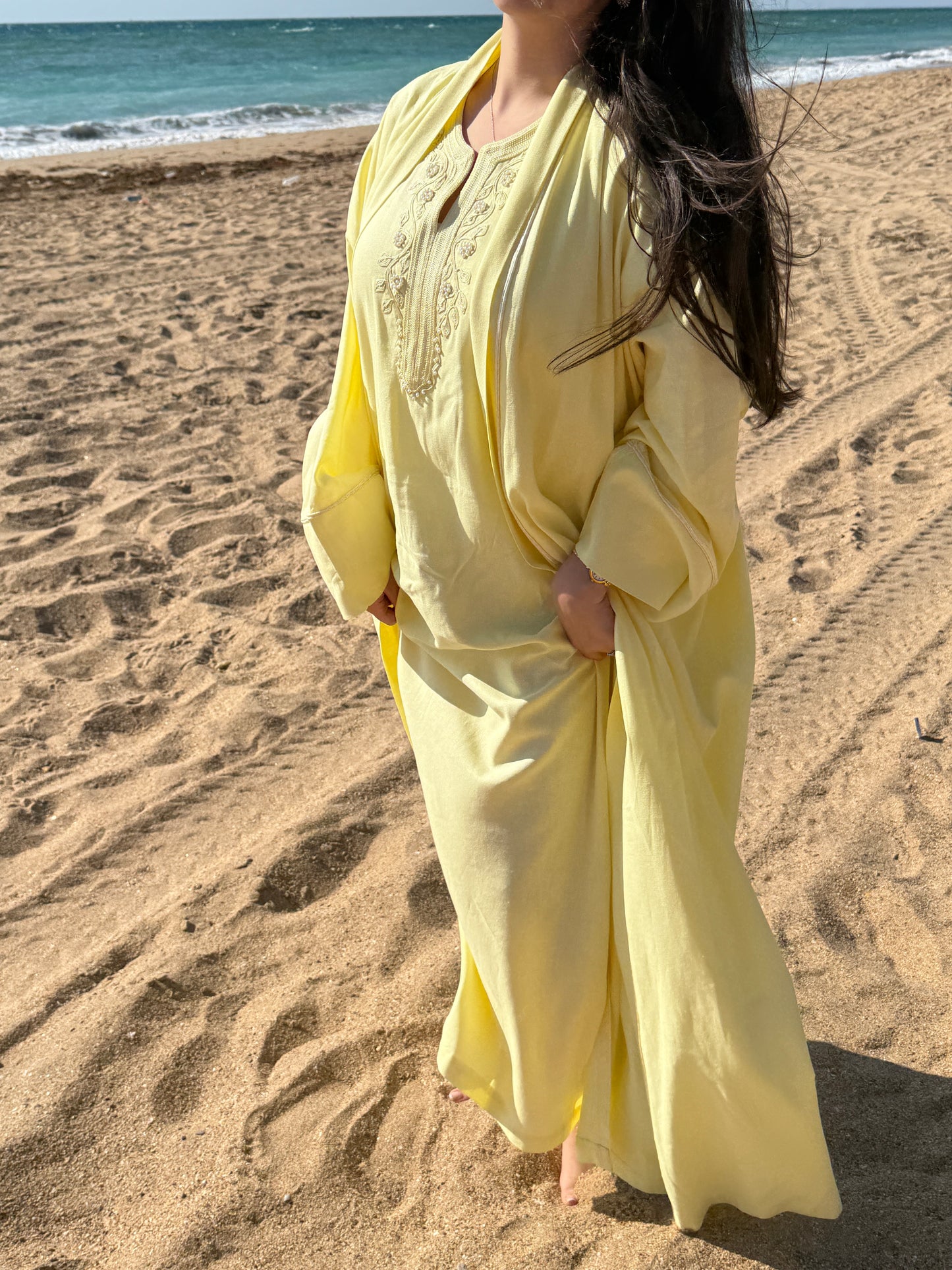 SHEMSI